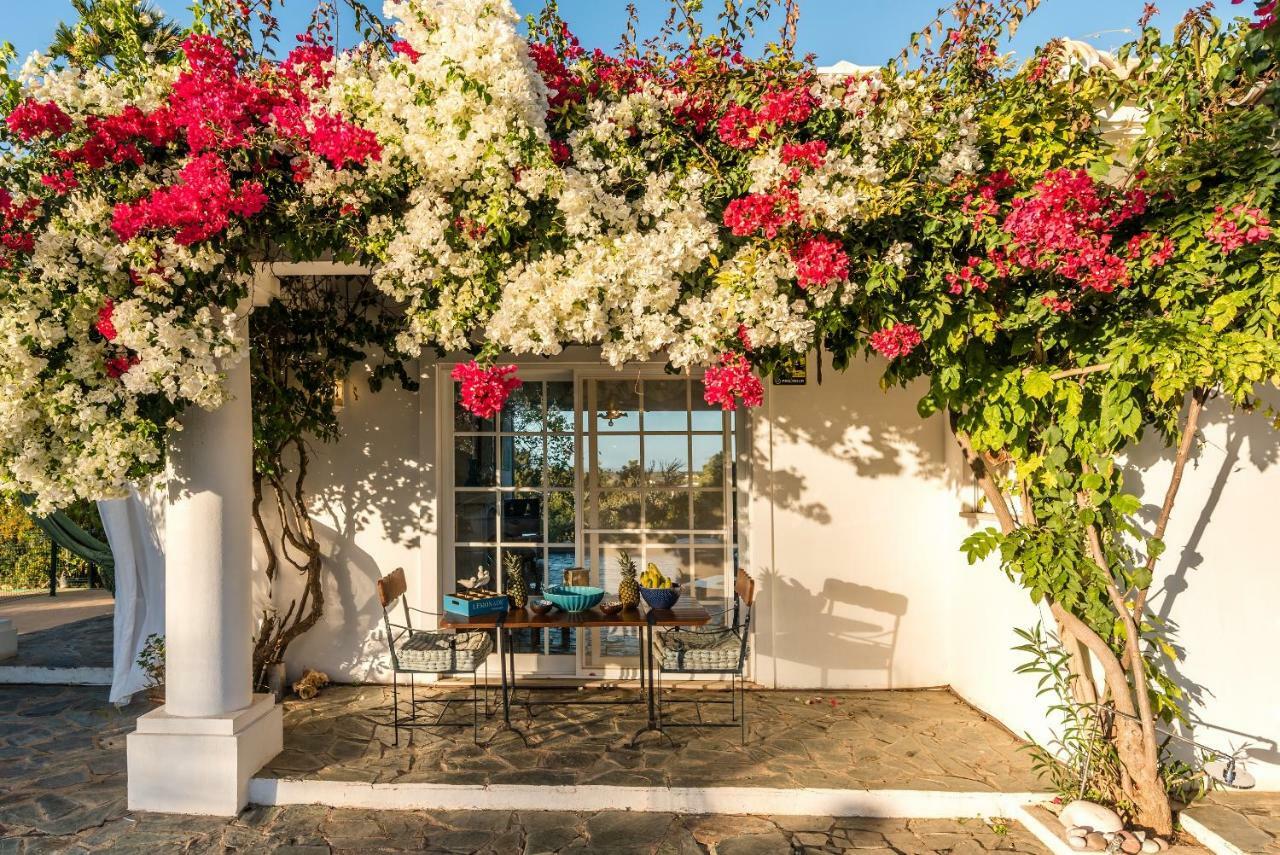 Fazenda Do Sul Villa อัลวอร์ ภายนอก รูปภาพ